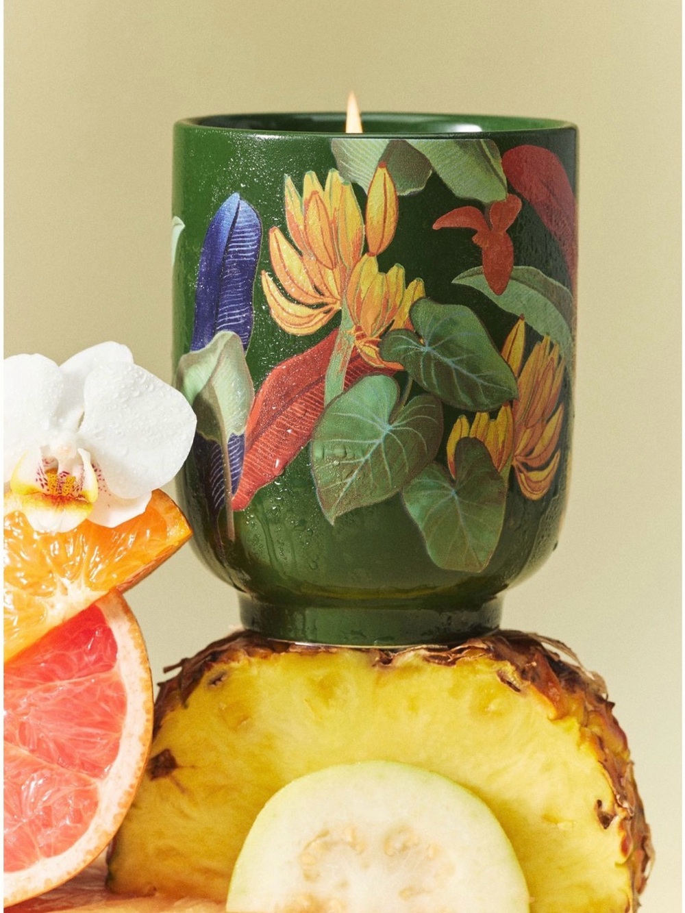 Farm Rio x Anthropologie Fruity Hibiscus & Pink Guava Ceramic Candle 12oz NWT